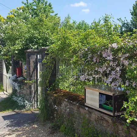 Bed & Breakfast Susque8 Izel