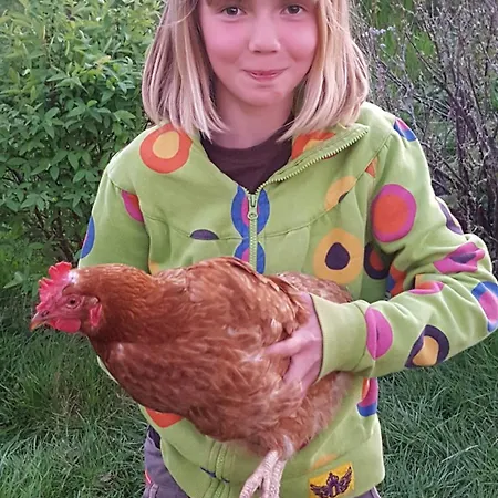 Susque8 Bed & Breakfast Izel